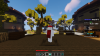 Skywars.png